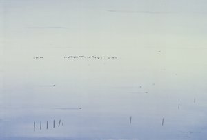 Le Vaccares, 1987